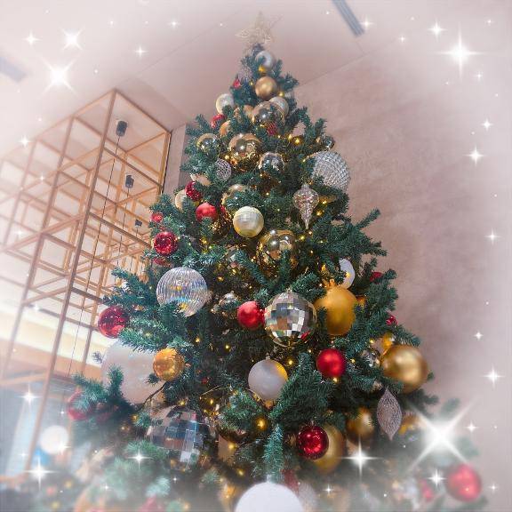 コトリさん　写メ画像
